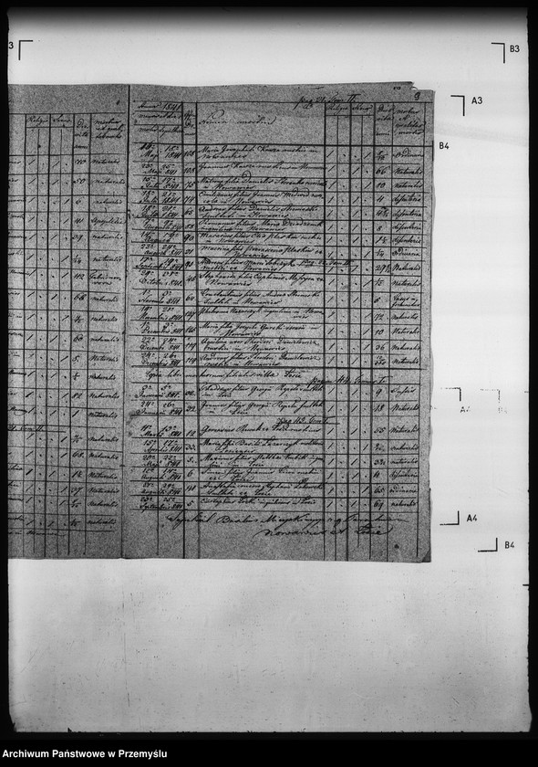 Obraz 14 z jednostki "[Kopie ksiąg metrykalnych parafii Nowa Wieś z filią Łosie (dekanat Muszyna)]"