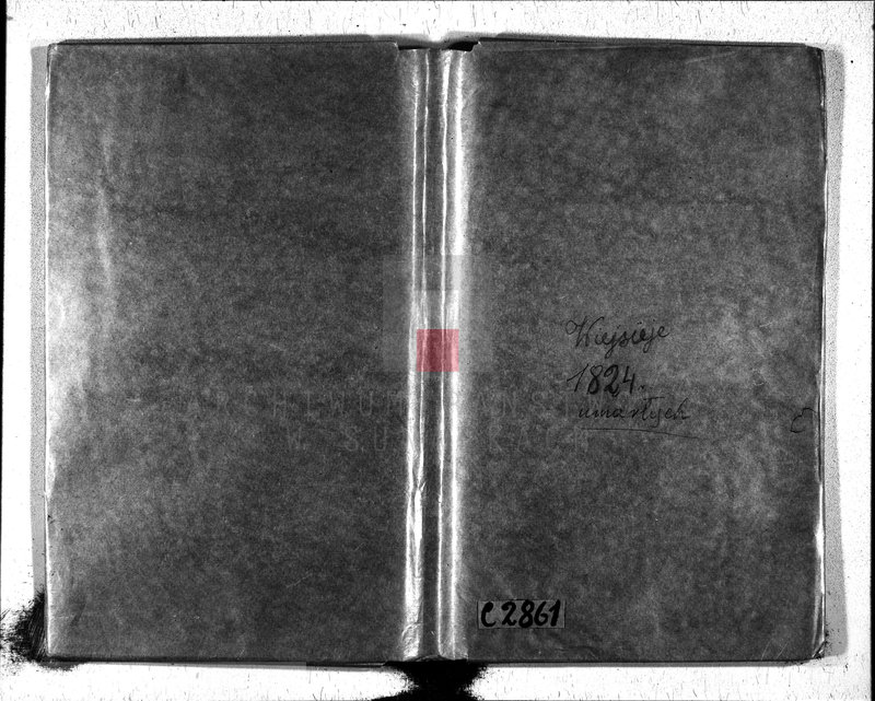 image.from.unit.number "Akta umarłych gminy wieysieyskiey 1824 roku"