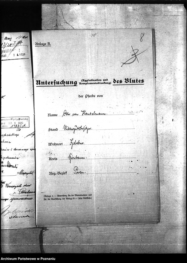 Obraz 12 z jednostki "Nosacizna - Międzychód"