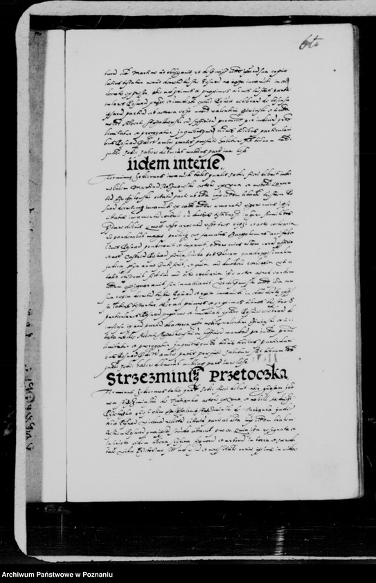 Obraz 14 z jednostki "Inscriptiones, relationes, decreta [inducta]"