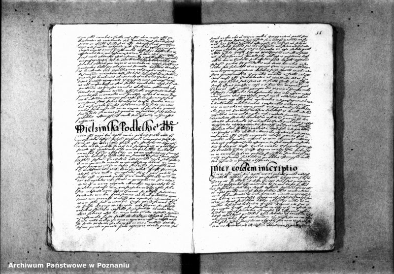 Obraz 15 z jednostki "Inscriptiones [inducta]"