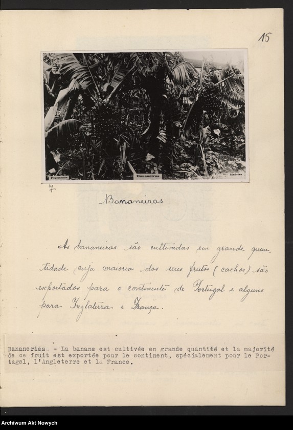 Obraz 11 z kolekcji "Madera111"