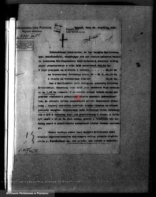 Obraz 5 z jednostki "Nadzór nad gospodarką w lasach majętności Modliszewo powiecie gnieźnieńskim"