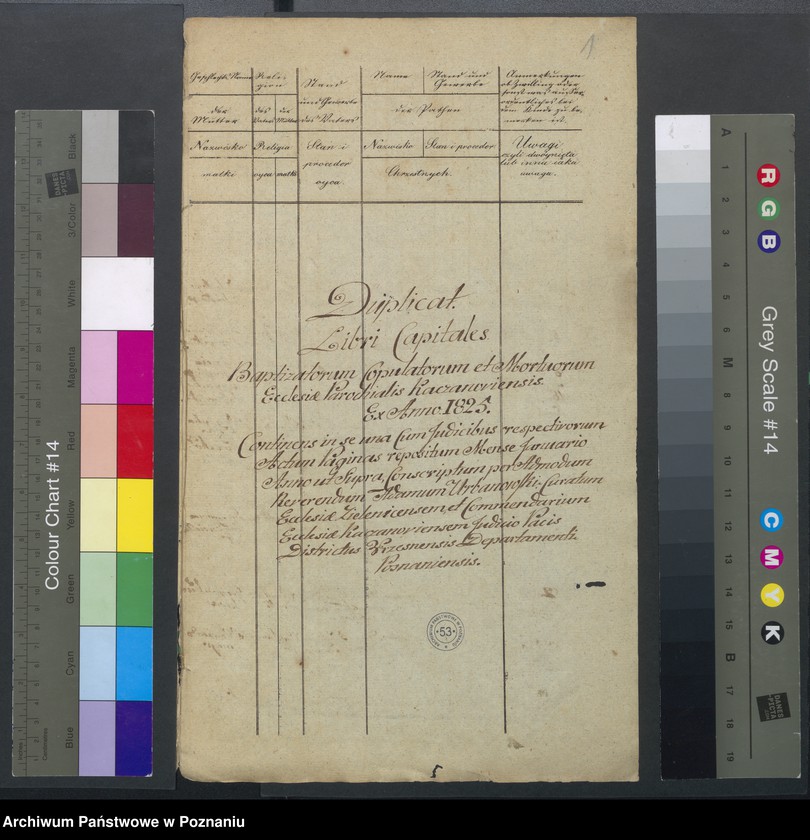 Obraz 3 z jednostki "Duplikat Baptisatorum, Copulatorum et Mortuorum."