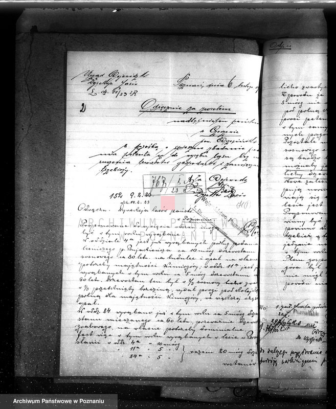 Obraz 6 z jednostki "Nadzór nad gospodarką w lasach majętności Bronisław"