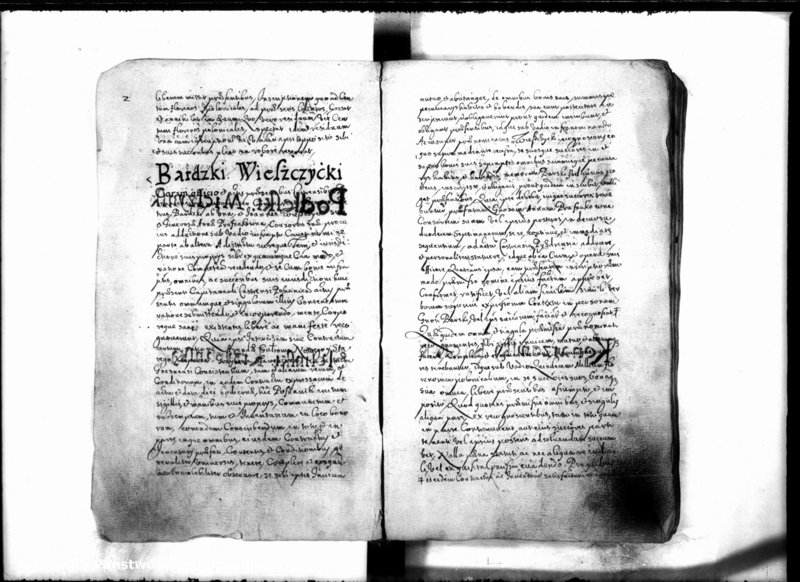 Obraz 6 z jednostki "Inscriptiones [inducta]"