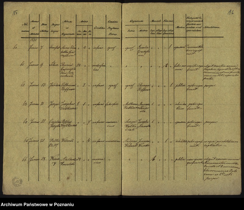Obraz 11 z jednostki "Księga zgonów"