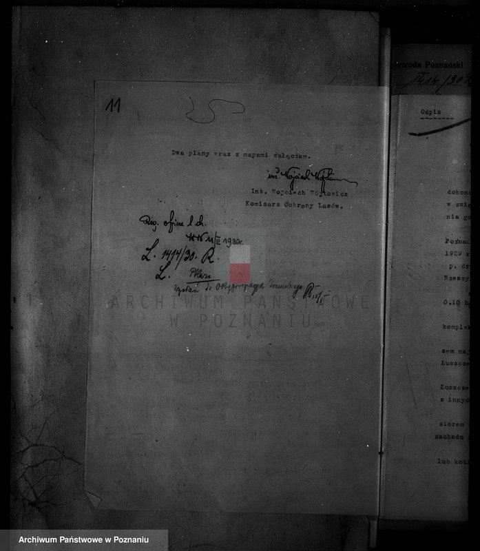 Obraz 16 z jednostki "/Majętność leśna Rzeszynek powiat mogileński"