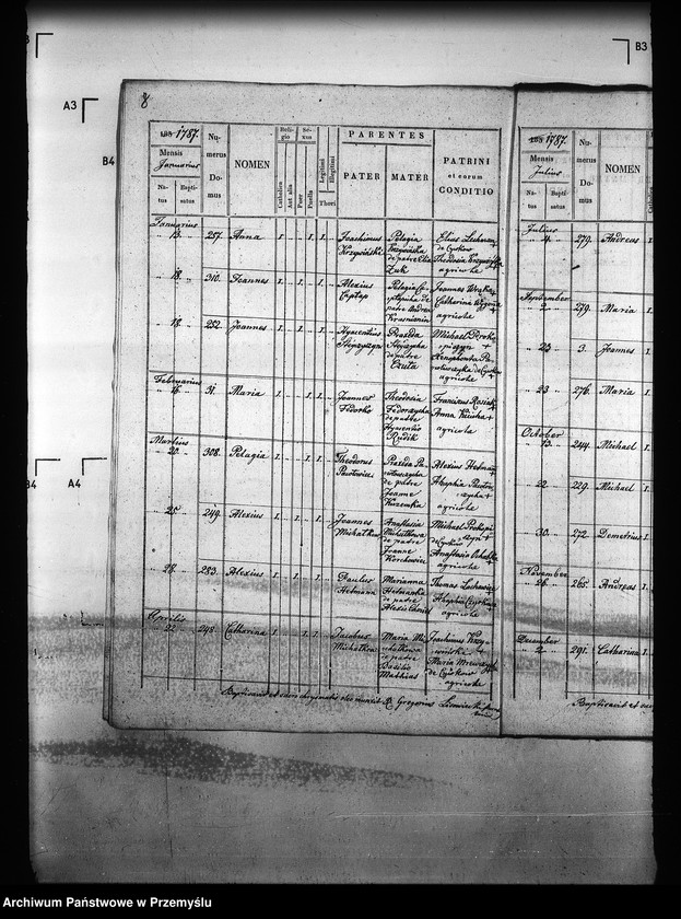 image.from.unit.number "[Kopie ksiąg metrykalnych parafii Majdan Sieniawski z filiami Adamówka, Krasne (dekanat Sieniawa)]"