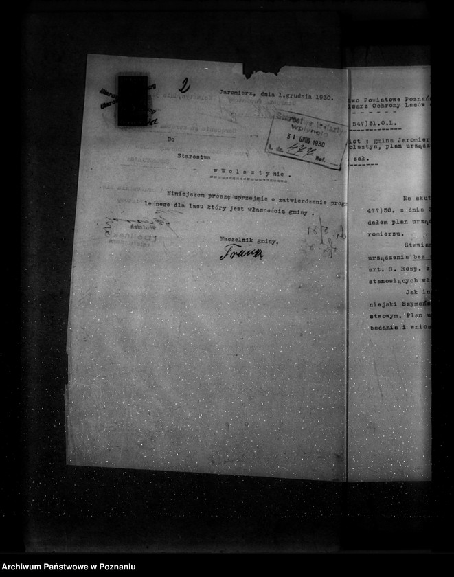 Obraz 6 z jednostki "Las gminy Jaromierz powiat wolsztyński"