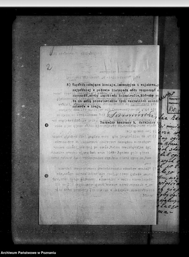 Obraz 6 z jednostki "Sprawy ogólne stadnin"