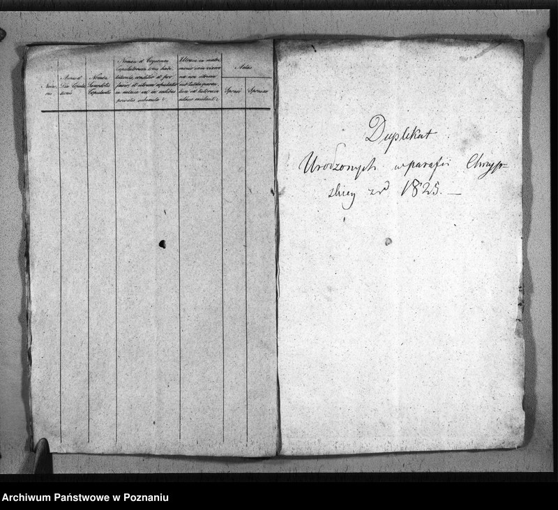 Obraz 6 z jednostki "Duplikat baptisatorum, copulatorum, mortuorum"