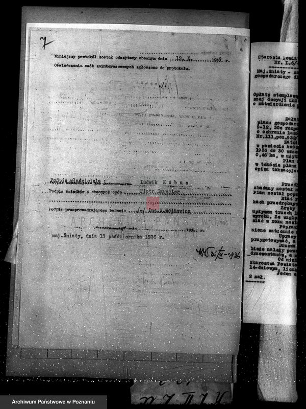 Obraz 11 z jednostki "Las majętność Śniaty powiat kościański"