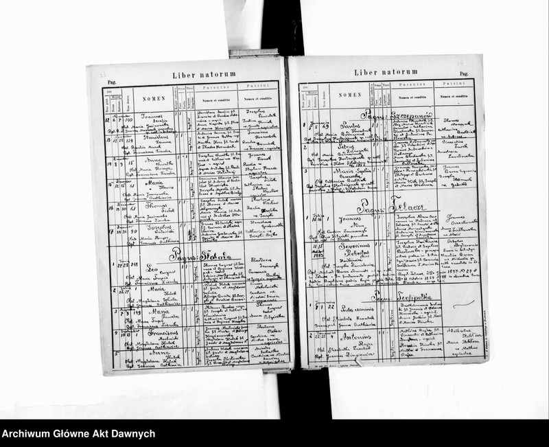 image.from.unit.number "Parafia: Kozowa. Dekanat: Brzeżany. Księga metrykalna urodzeń, ślubów i zgonów dla miasta Kozowa i wsi: Helenków, Kalne, Krzywe, Litiatyn*, Słoboda Złota; Teofipólka, Szczepanów*, Wiktorówka, Telacze*, Uwsie."