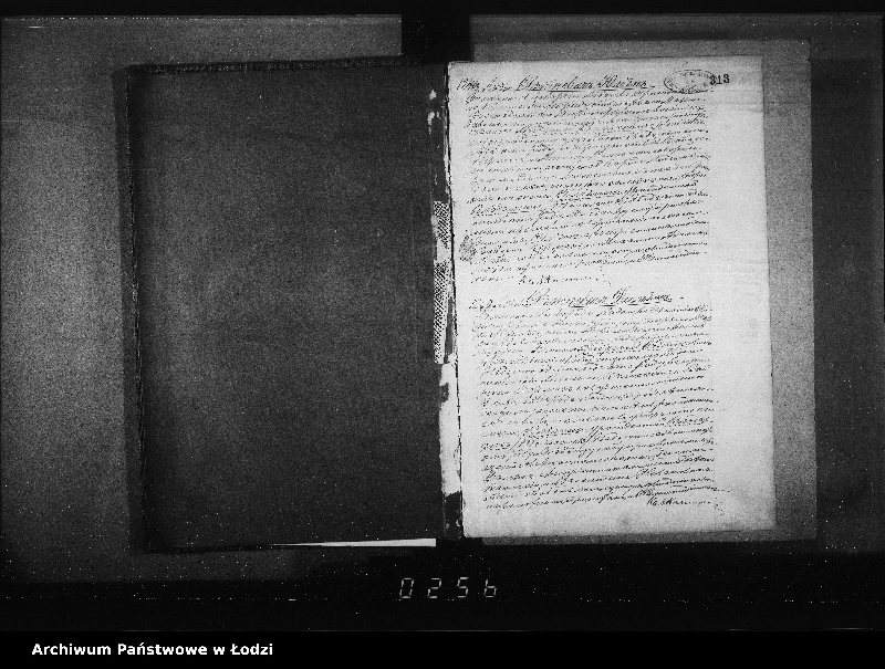 Obraz 5 z jednostki "Akta urodzeń"