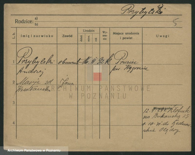 Obraz 7 z jednostki "Przybylski (żonaci - samotni mężczyźni do Gustaw)"