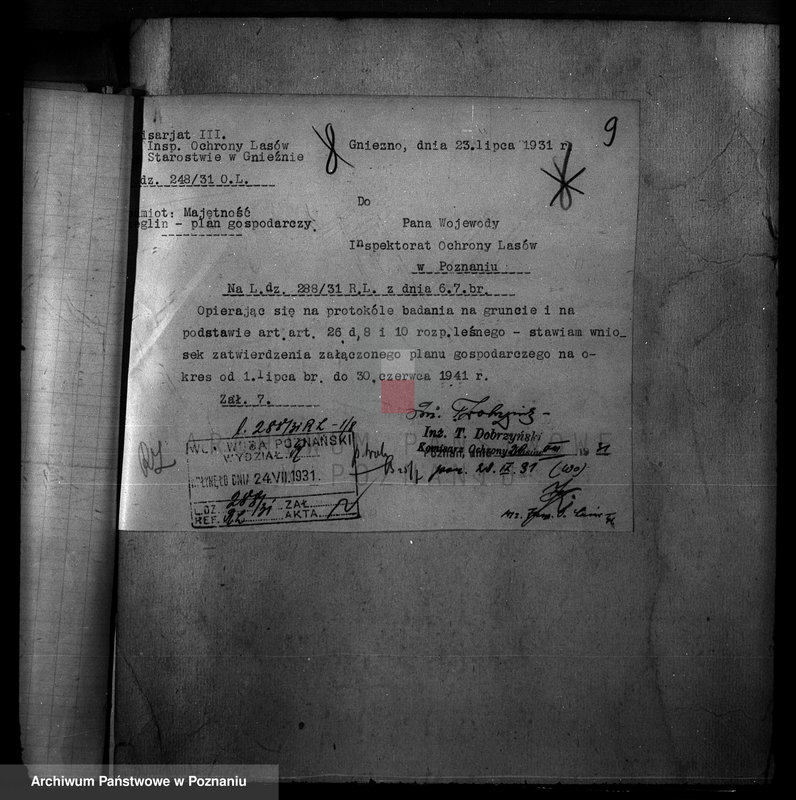 Obraz 13 z jednostki "Majętność /leśna/ Szczeglin Dąbrówka w powiecie mogileńskim"