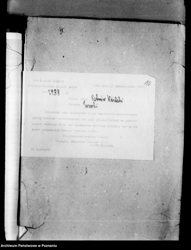 Obraz 14 z jednostki "Lustracja lasów majątku Wilczków powiat turecki"