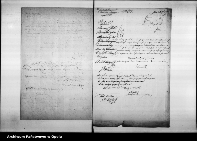 Obraz 10 z jednostki "Acta des Magistrats zu Oppeln betreffend Polizei - Verwaltung.Vol II"