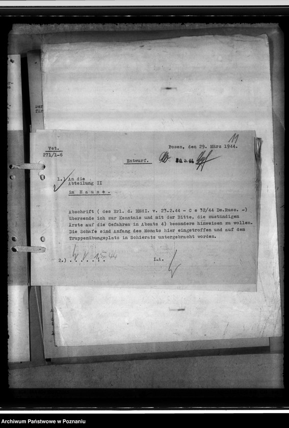 Obraz 15 z jednostki "Einfuhr von Karakulschafen aus den Besetzten Ostgebieten"