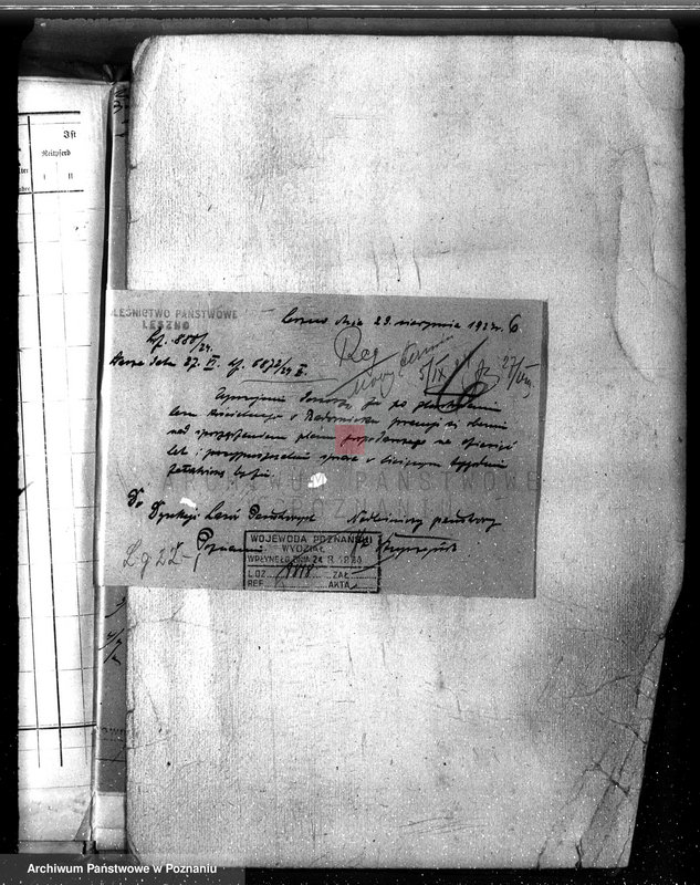 Obraz 10 z jednostki "Las parafialny kościoła w Radomicku powiat kościański"