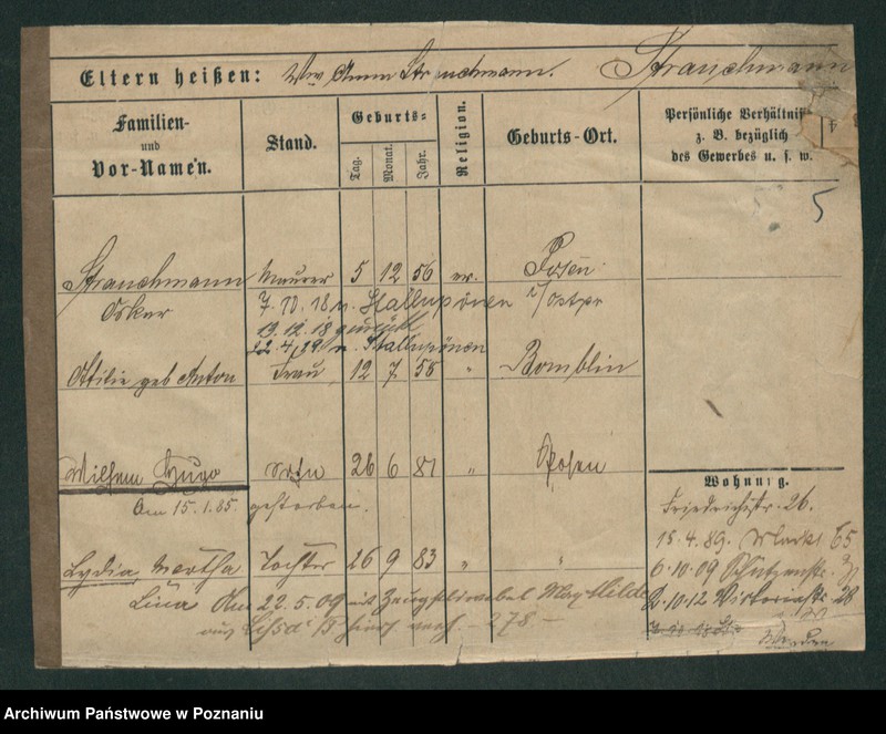 Obraz 15 z jednostki "Strauchman - Striwy (Strü...)"