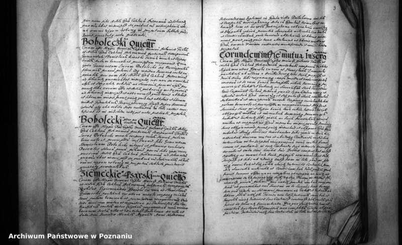 Obraz 6 z jednostki "Inscriptiones [inducta]"