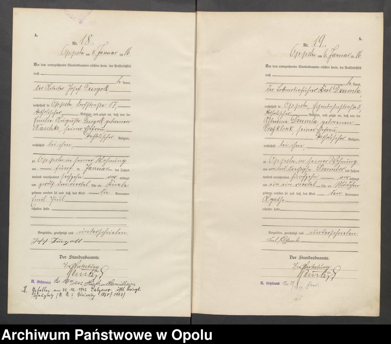 image.from.unit.number "Urząd stanu Cywilnego Opole Księga Urodzeń Rok 1916 1-395"