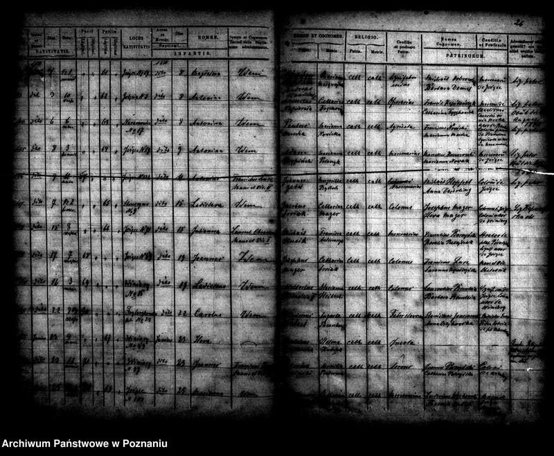 Obraz 15 z jednostki "Księga urodzin"