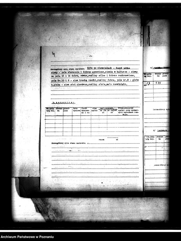 Obraz 8 z jednostki "Administracja przejściowa majątku Strzeszyn powiatu poznańskiego"