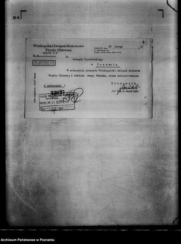 Obraz 8 z jednostki "/Wielkopolski Związek Hodowców Trzody Chlewnej w Poznaniu/"