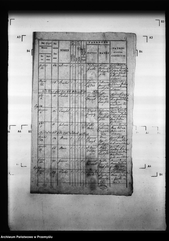 Obraz 17 z jednostki "[Kopie ksiąg metrykalnych parafii Drozdowice z filiami Stroniowice, Wielunice (dekanat Niżankowice)]"