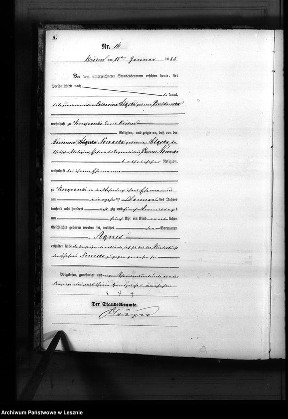 Obraz 19 z jednostki "[Księga urodzeń - wieś]"