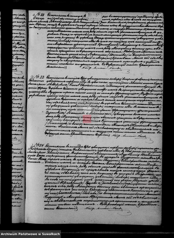 Obraz 12 z jednostki "Duplikat aktov serejskago rimsko-katoličeskago prichoda rodivšichsja, brakosočetavšichsja i umeršich za 1901 god"