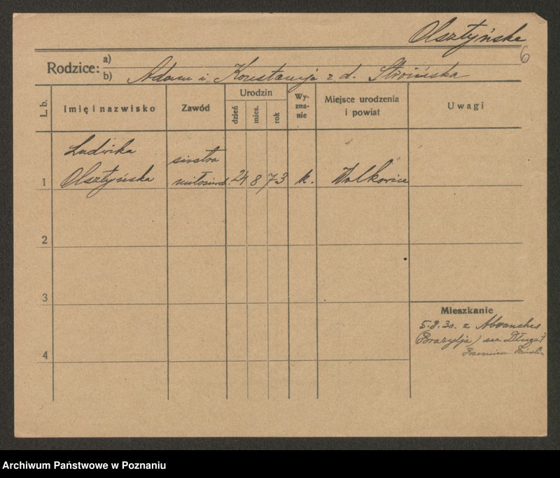 Obraz 8 z jednostki "Olszog - Opielewicz"