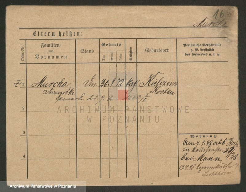 Obraz 16 z jednostki "Murcha - Musiał"