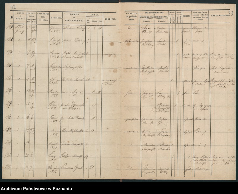 Obraz 14 z jednostki "Księga zgonów"
