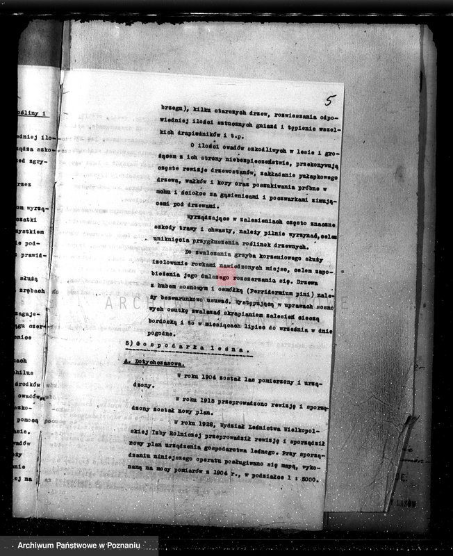 Obraz 9 z jednostki "Plan urządzania gospodarstwa leśnego dla lasu majętności Bonikowo - powiat kościański"