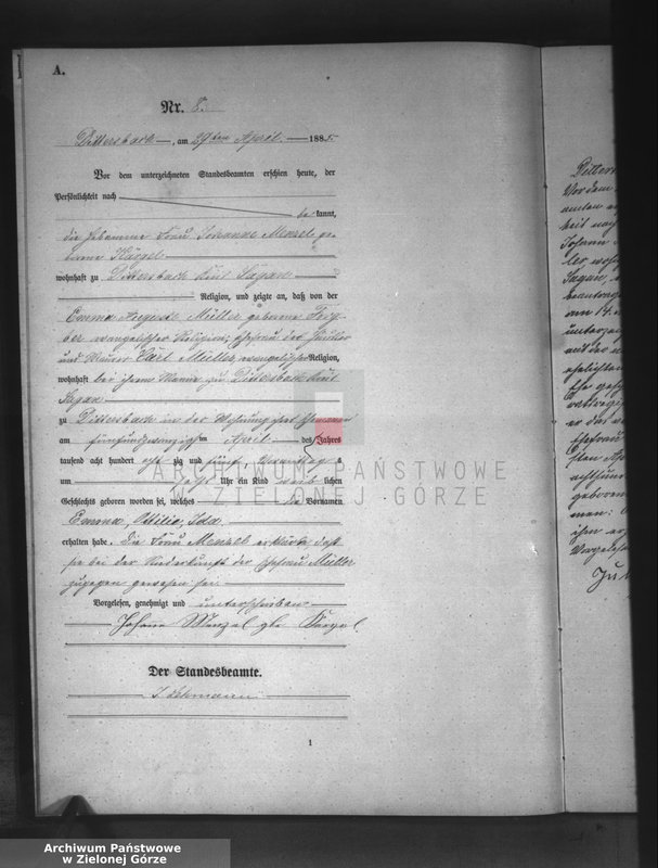 Obraz 11 z jednostki "[Księga aktów urodzeń]"