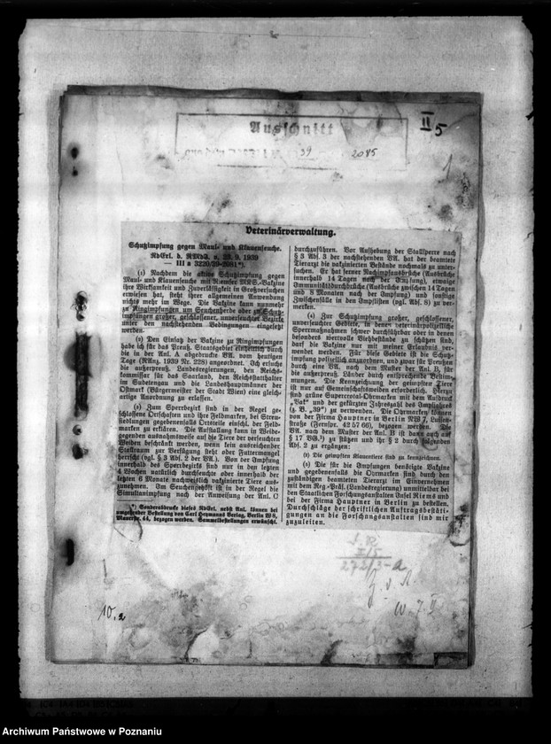 Obraz 5 z jednostki "Maul - und Klauenseuche"