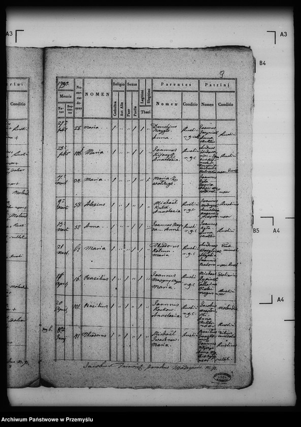 Obraz 13 z jednostki "[Kopie ksiąg metrykalnych parafii Modrycz z filią Solec (dekanat Drohobycz)]"