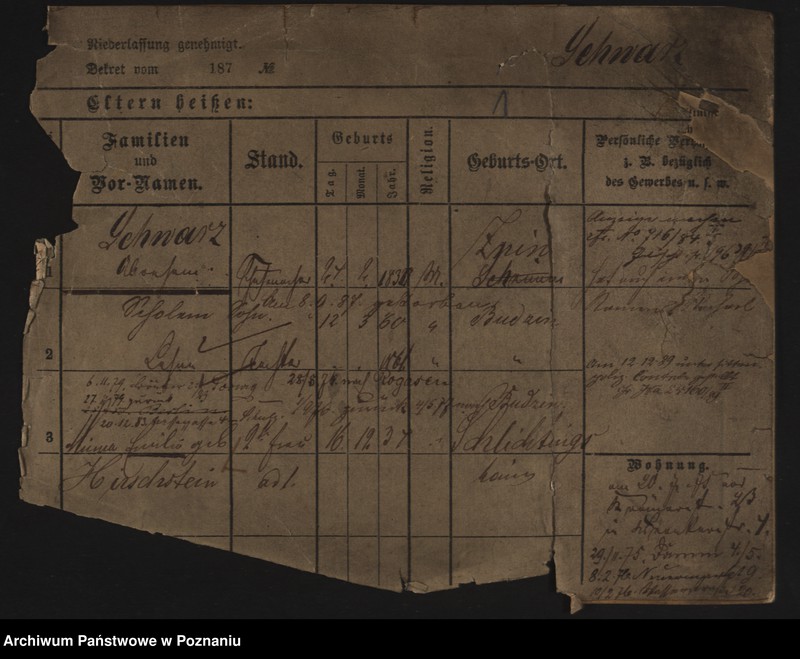 Obraz 6 z jednostki "Szwarc (żonaci i wdowy)"