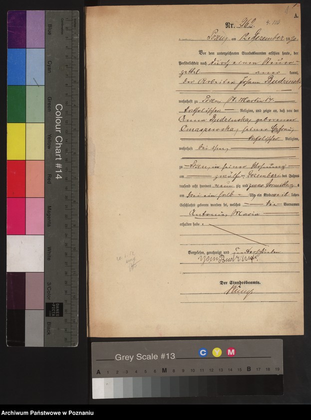 Obraz 4 z jednostki "Księga urodzeń t. VI"