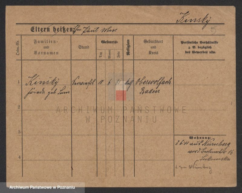 Obraz 5 z jednostki "Kinski - Kirstok"