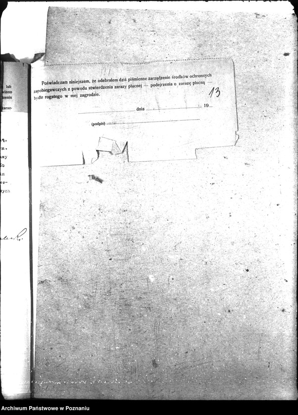 Obraz 17 z jednostki "Sprawy szczegółowo-Zaraza płucna - Toruń"