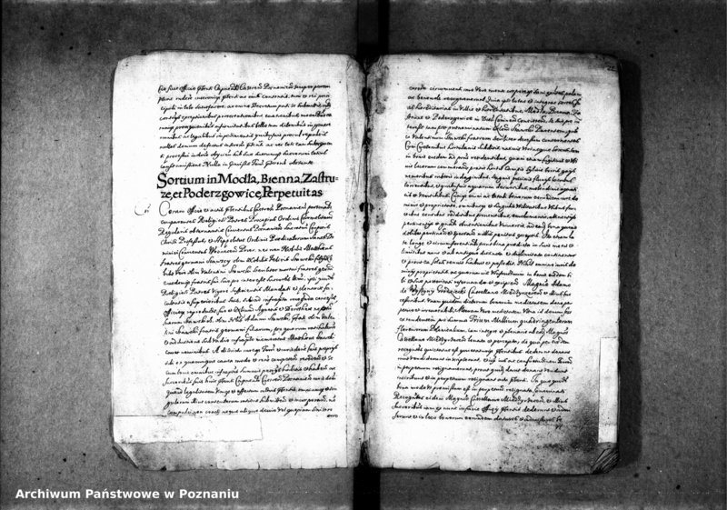 Obraz 6 z jednostki "Resignationes [inducta]"