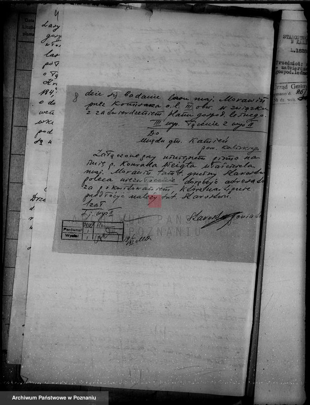 Obraz 12 z jednostki "Wyłączenie obszarów leśnych majątku Morawin powiat kaliski"