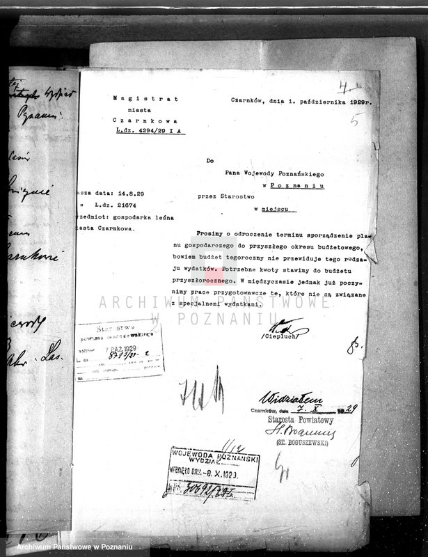 Obraz 9 z jednostki "Magistrat miasta Czarnkowa /nadzór nad gospodarką leśną/"