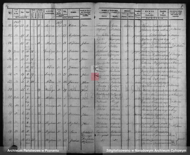 Obraz 7 z jednostki "Duplicatus baptisatorum, copulatorum, mortuorum"