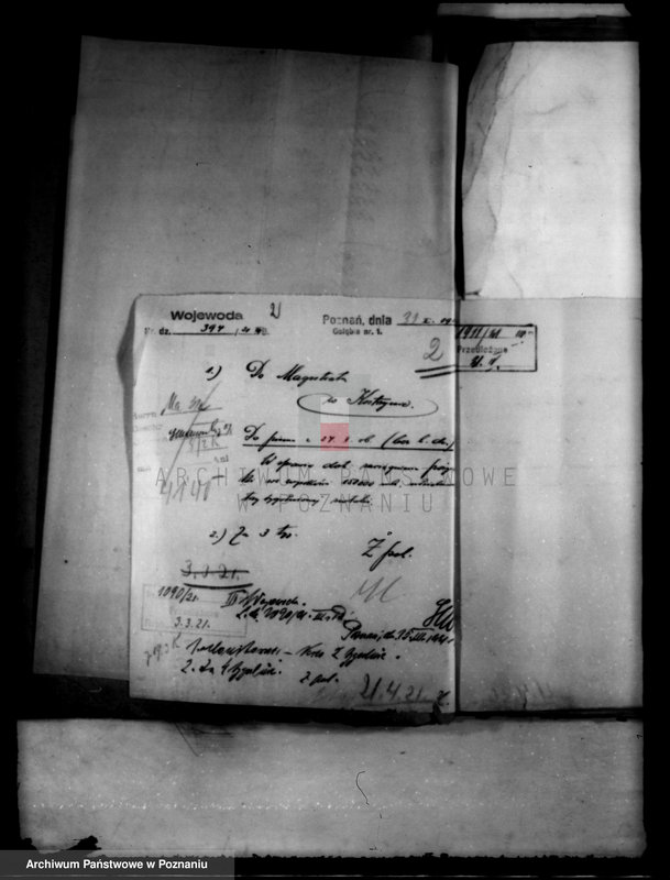 Obraz 6 z jednostki "Administracja miasta Kostrzyna"